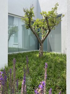 casa moderna con vetrata ad angolo